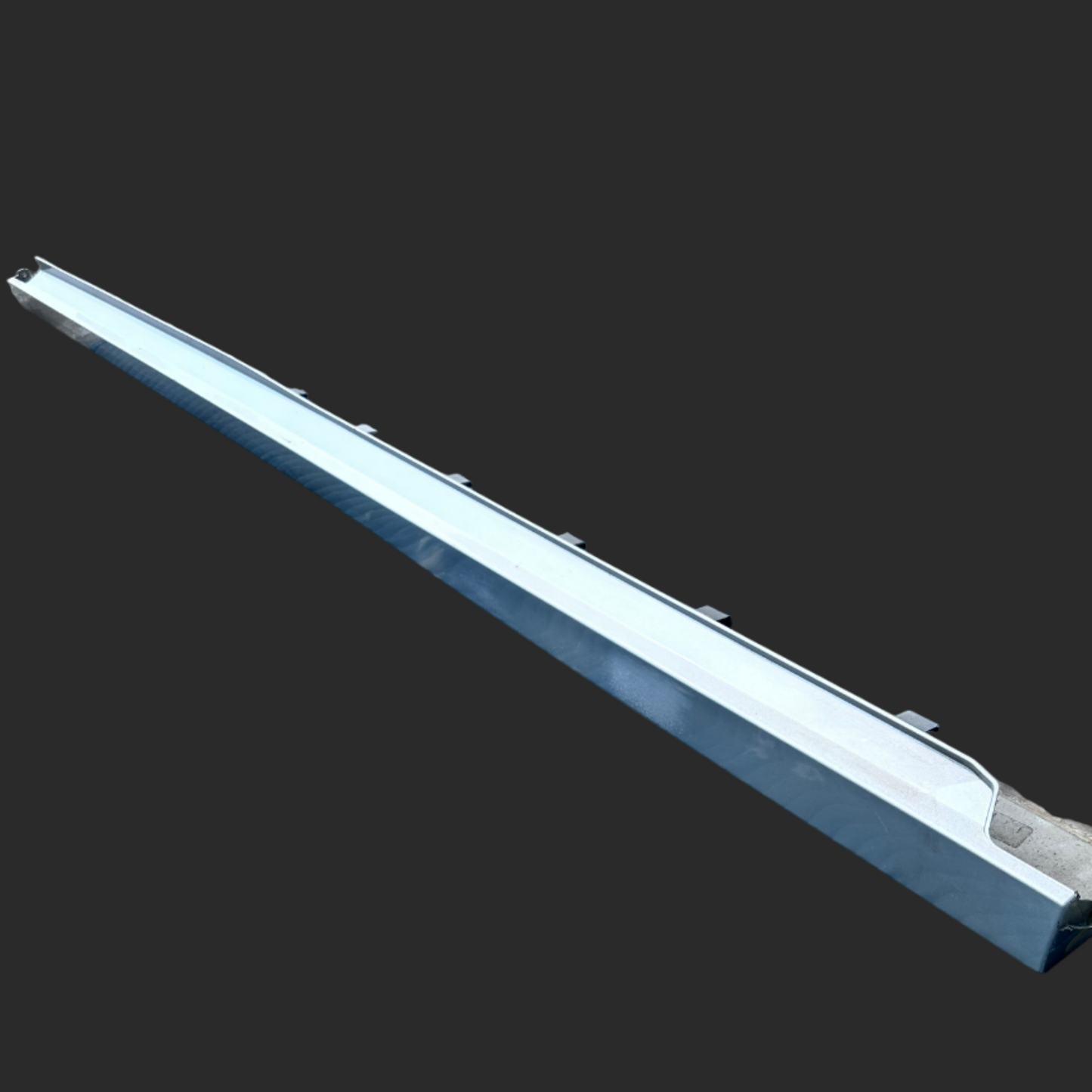 Driver Rocker Moulding