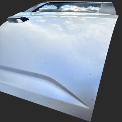 Driver (LH) Manual Sliding Door