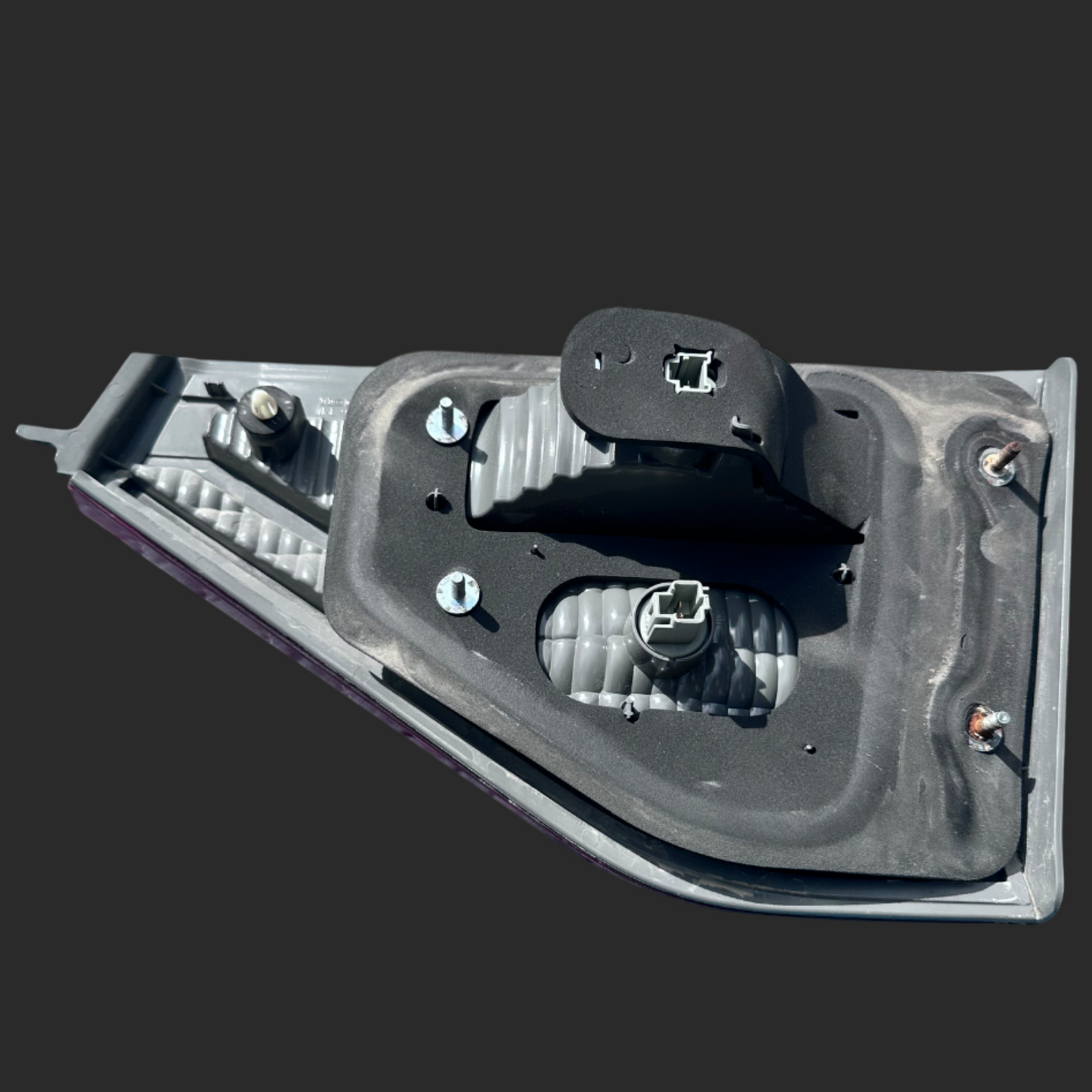 Tailgate Tail Lights